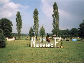 Nebanice