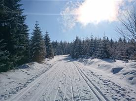 Zima - Výlet z Bukové hory na Suchý vrch - pěšmo i běžmo :-))
