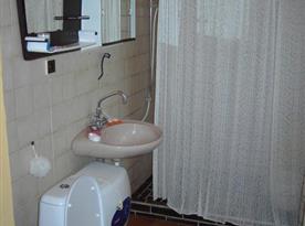 Koupelna s toaletou, sprchovým koutem, umývadlem a zrcadlem