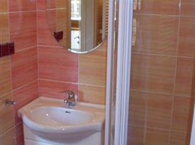 Pohled na sociální zařízení se sprchovacím koutem, umyvadlem a zrcadlem