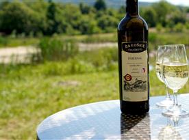 Víno s výhledem na rybník a okolní kopečky chutná nejlépe