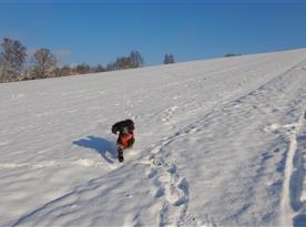 Mia si užívá sníh na první advent 2023